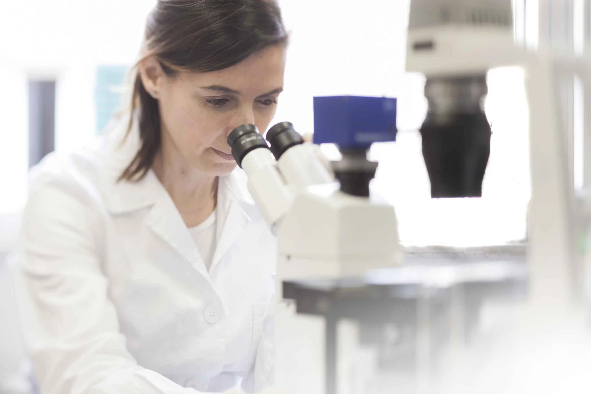 Seed to Skin laboratory